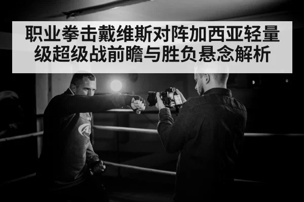 职业拳击戴维斯对阵加西亚轻量级超级战前瞻与胜负悬念解析