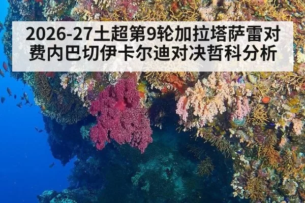 2026-27土超第9轮加拉塔萨雷对费内巴切伊卡尔迪对决哲科分析